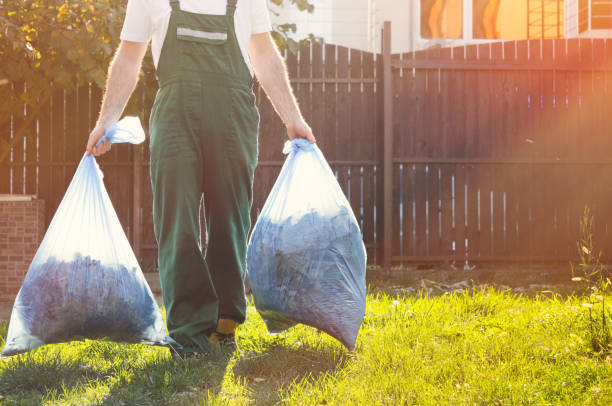 Best Basement Cleanout Services  in New Albany, MS